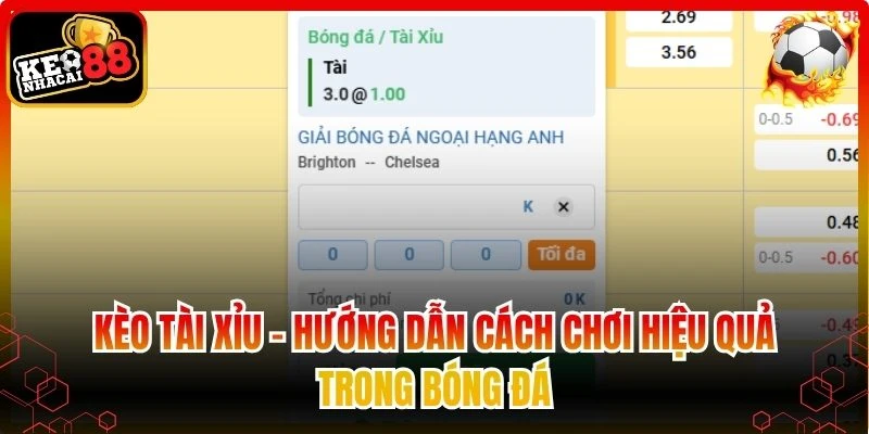 kèo tài xỉu