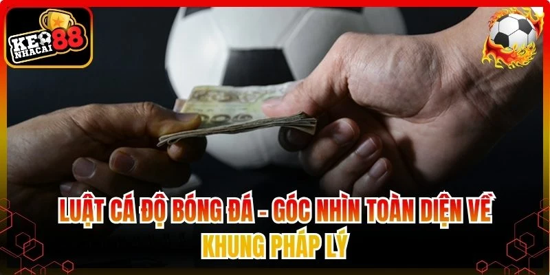 luật cá độ bóng đá