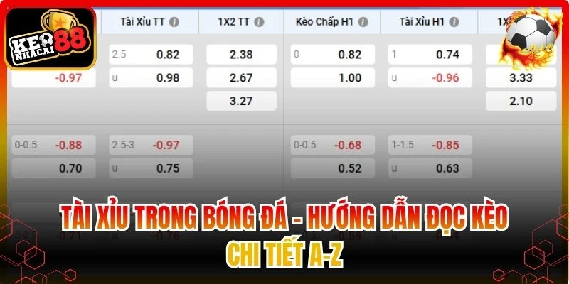tài xỉu trong bóng đá