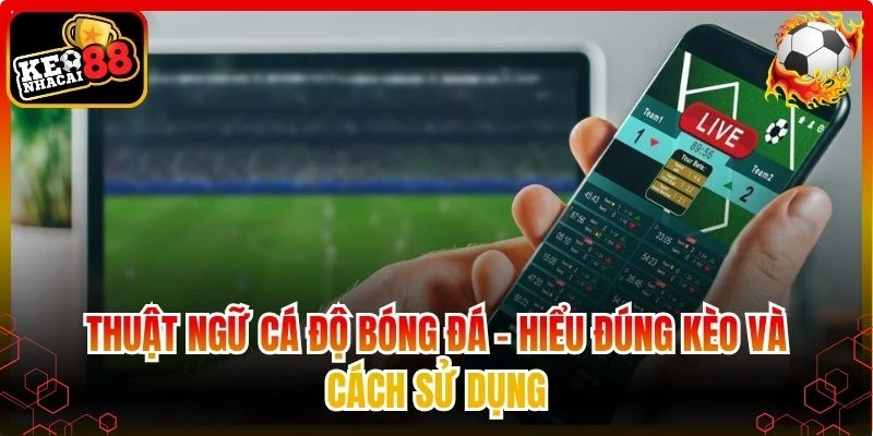Thuật ngữ cá độ bóng đá