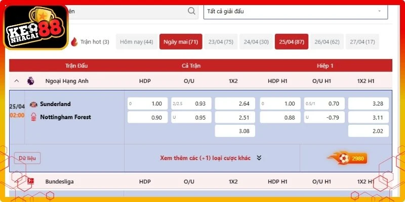 Tips bóng đá hiệu quả và dễ áp dụng khi đọc tỷ lệ kèo và biến động